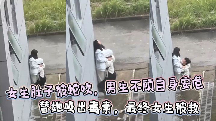 女生肚子被蛇咬，男生不顾自身安危  替她吸出毒素，最终女生被救